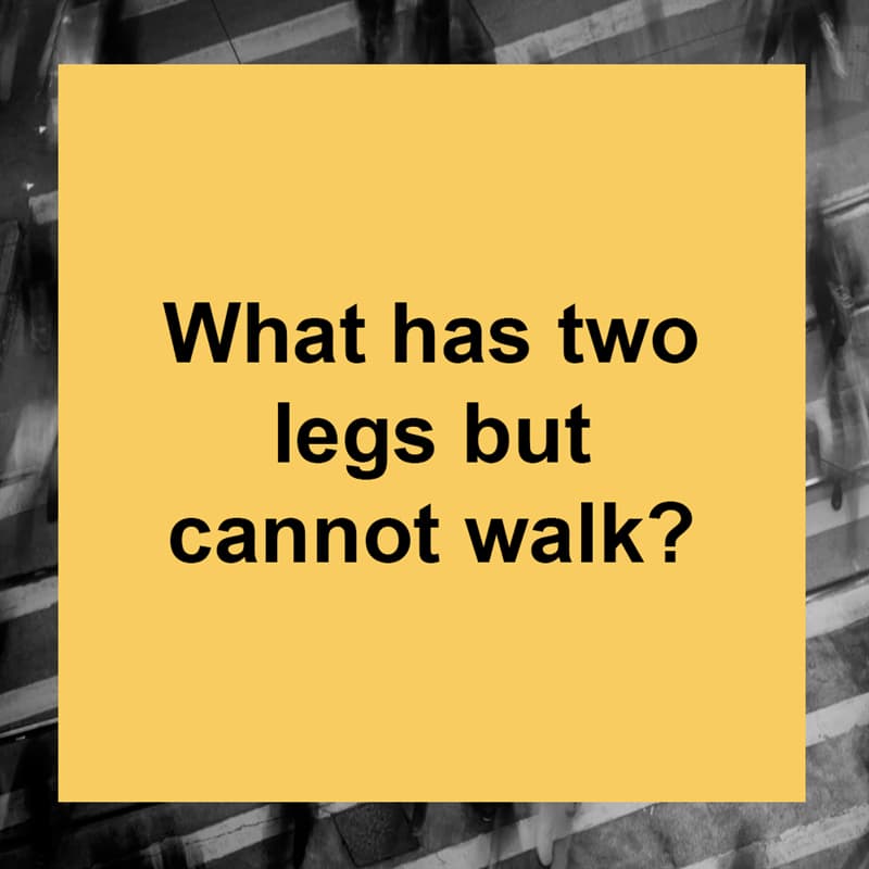 IQ Story: What has two legs but cannot walk?