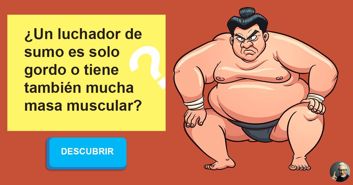 Qué tan fuerte puede ser un luchador de sumo, considerando que no son  musculosos? - Quora
