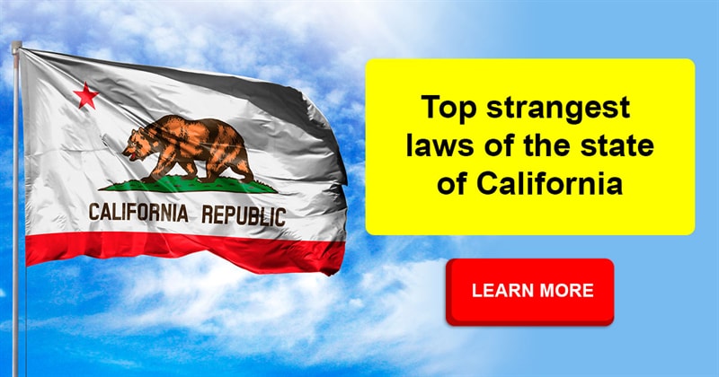 Society Story: 10 strange and funny laws of the state of California