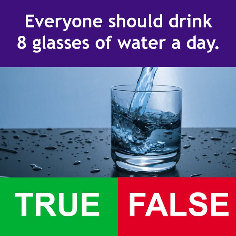 Science Story: Everyone should drink 8 glasses of water a day.