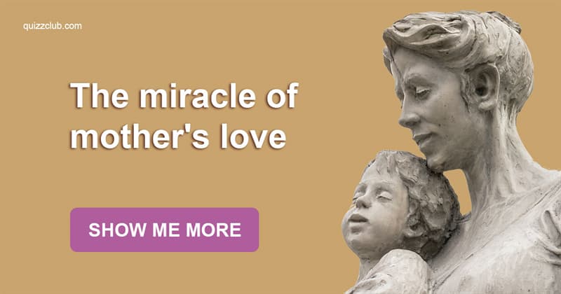 Society Story: Ultimate glory of mother's love expressed in sculptures from all over the world