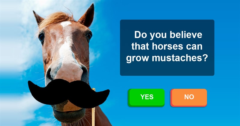 Nature Story: Horses with mustaches: myth or reality?