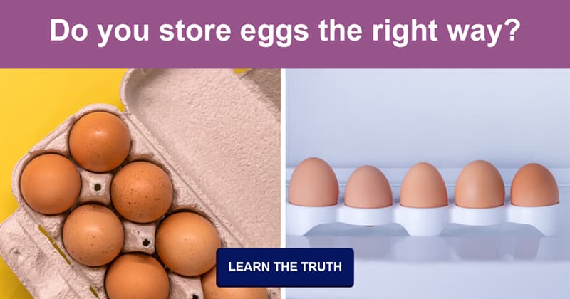 Science Story: To fridge or not to fridge – how should we really store eggs?