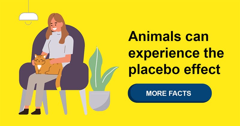 Science Story: Real or fake – 5 fascinating facts about the placebo effect