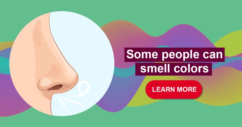 Science Story: 10 bizarre and wonderful facts about the sense of smell