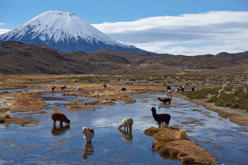 Geography Story: #6 Lauca National Park
