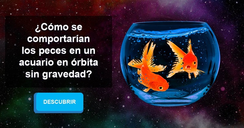 Сiencia Historia: ¿Cómo se comportarían los peces en un acuario en órbita sin gravedad?
