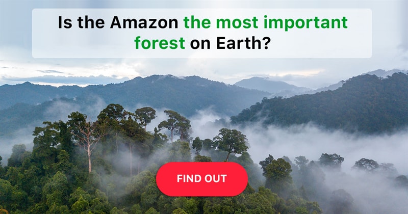 Science Story: Does the Amazon rainforest really produce 20% of the world's oxygen?