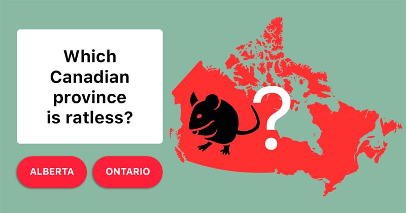 Geography Story: Why there are no rats in some Canadian provinces?