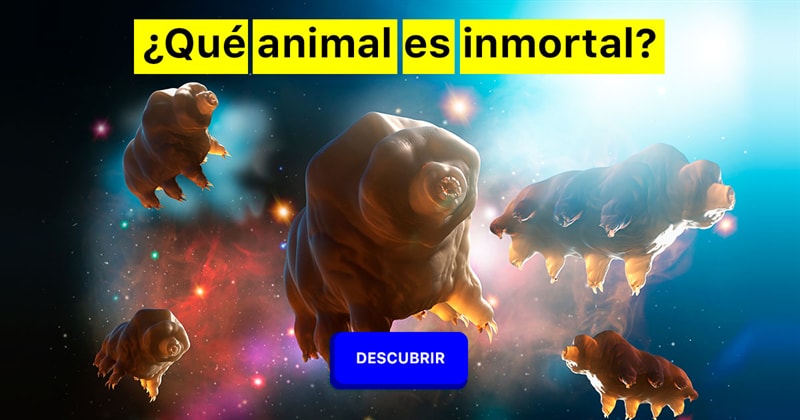 Сiencia Historia: ¿Qué animal es inmortal?