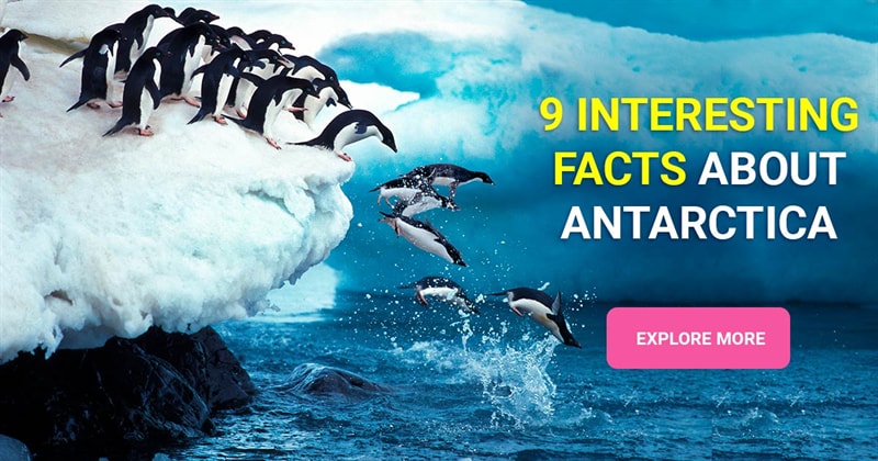 Geography Story: 9 interesting facts about Antarctica