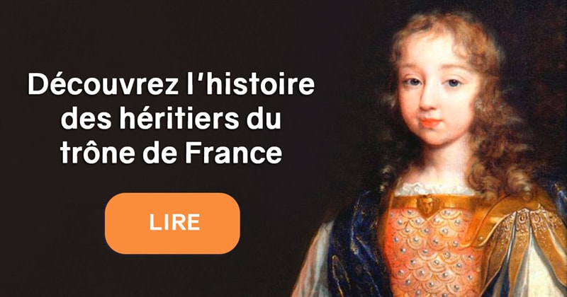 Histoire Histoire: Pourquoi le Roi de France s'appelait-t-il dauphin