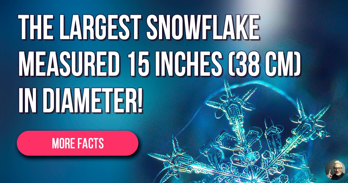 Printable Facts About Snowflakes