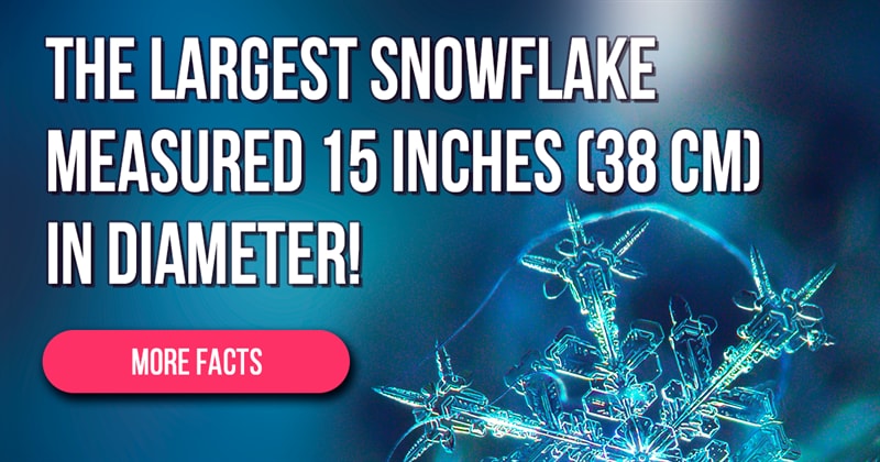 Science Story: Snowflakes – close-up pictures and little-known facts