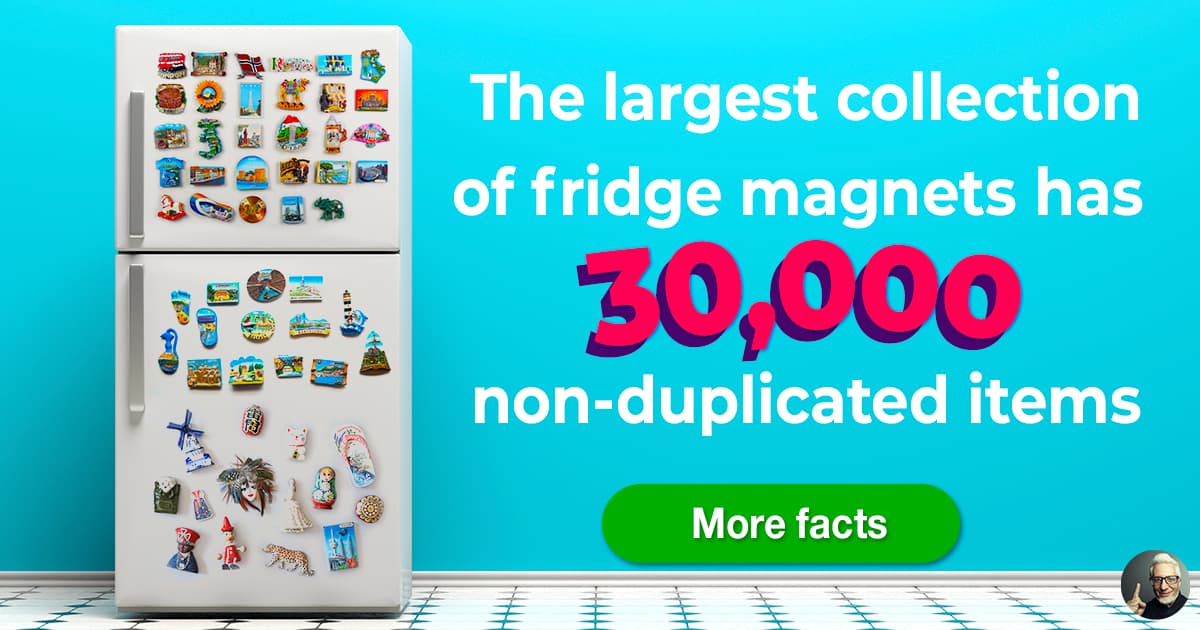 Fridge how did they so popular? Fridge how