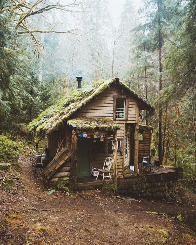 Culture Story: cozy cabin cabin in the woods small cabin interiors small cabin ideas cabin in the middle of nowhere cabin pictures pictures of cabins in the woods cabin pictures inside