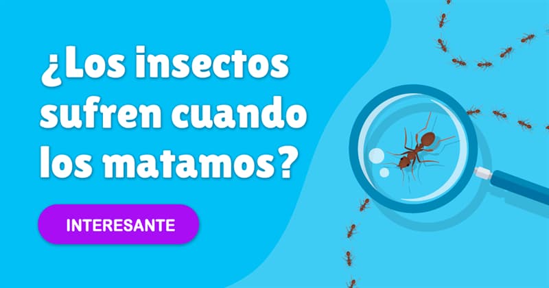 Сiencia Historia: ¿Los insectos sufren cuando los matamos?
