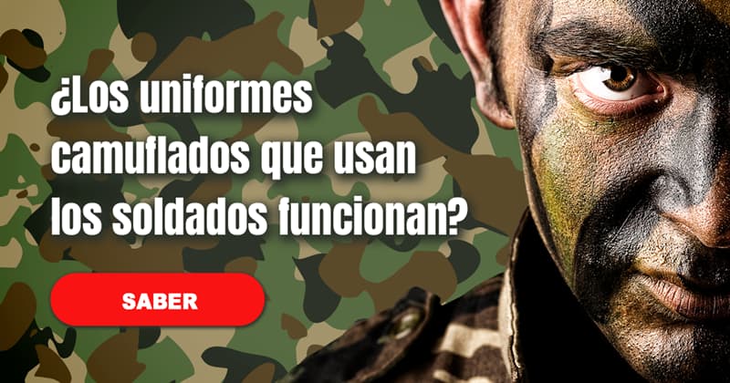Animales Historia: ¿Los uniformes camuflados que usan los soldados funcionan?