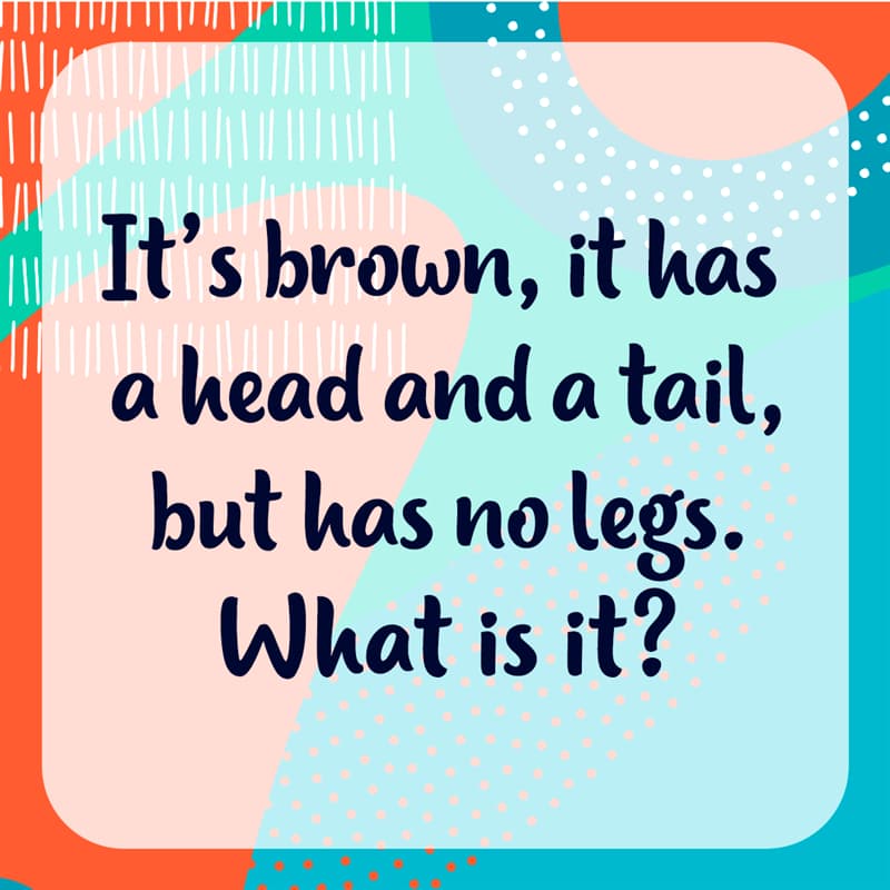 funny Story: 10 new hilarious riddles to test your smarts #3 