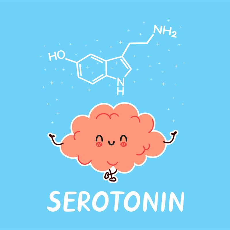 Geography Story: #4 Serotonin is essential for happiness ONLY when it’s in the brain