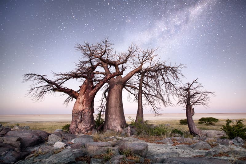 Geography Story: 5 images that perfectly capture Africa's wonders