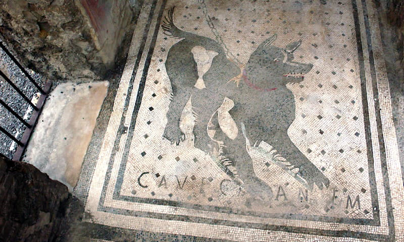 History Story: #8 Very ancient “Cave canem” sign on the floor which translates to “beware of the dog”