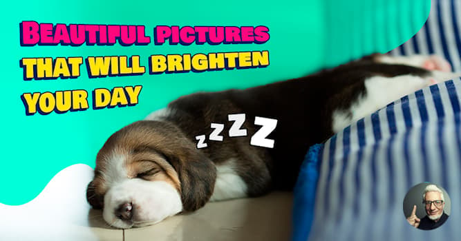 9 Most Heartwarming Pictures Youll Ever See Quizzclub 