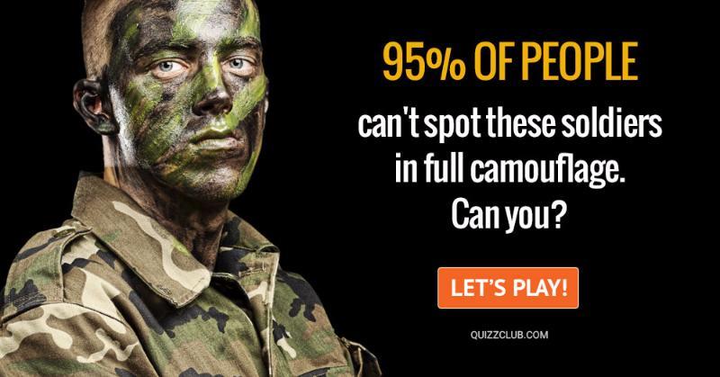 IQ Quiz Test: 95% Of People Can't Spot These Soldiers In Full Camouflage - Can You?