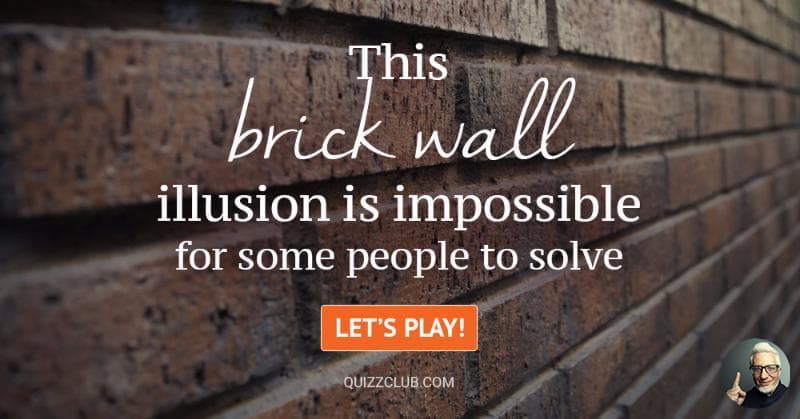 This Brick Wall Illusion Is Impossible For Some People To Solve Can You See It Character 
