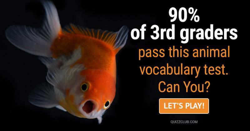 animals Quiz Test: 90% Of 3rd Graders Pass This Animal Vocabulary Test. Can You?
