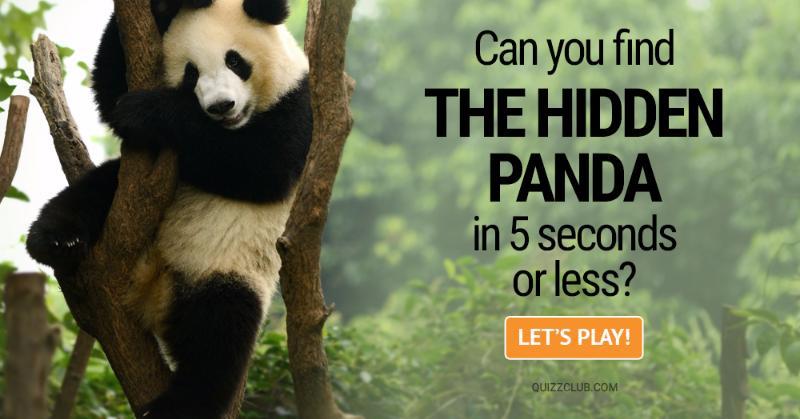 IQ Quiz Test: Can You Find The Hidden Panda in 5 Seconds or Less?