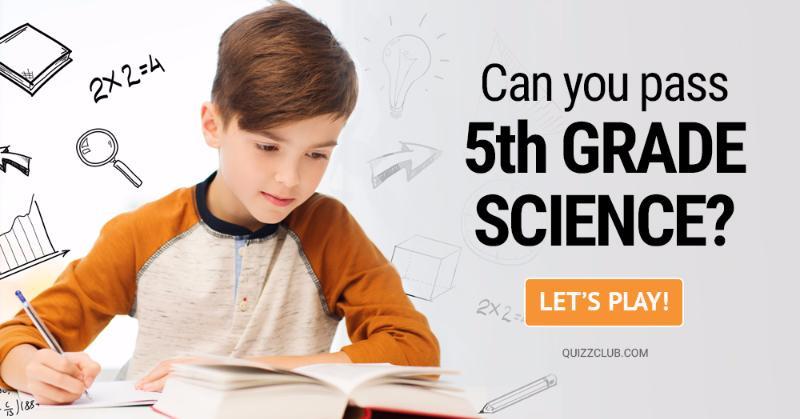 Science Quiz Test: Can You Pass 5th Grade Science?