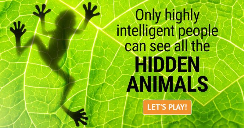 animals Quiz Test: Only Highly Intelligent People Can See All The Hidden Animals