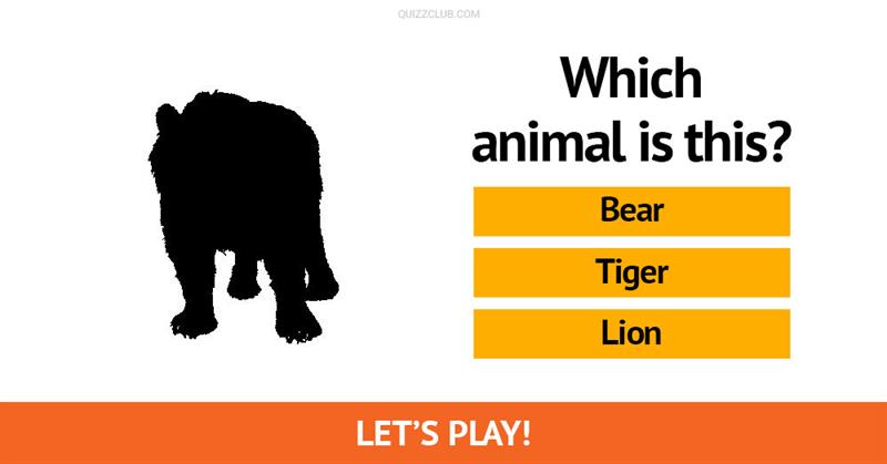 Funny Quizzes, Tests and Games | QuizzClub