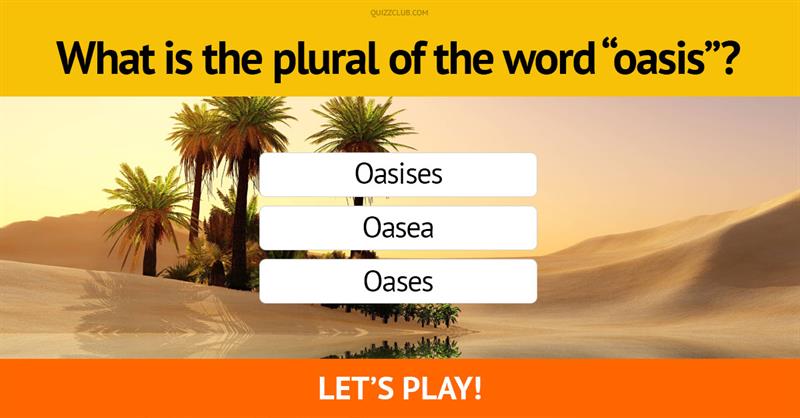 language Quiz Test: Can You Identify The Plural Of These Tough Words?
