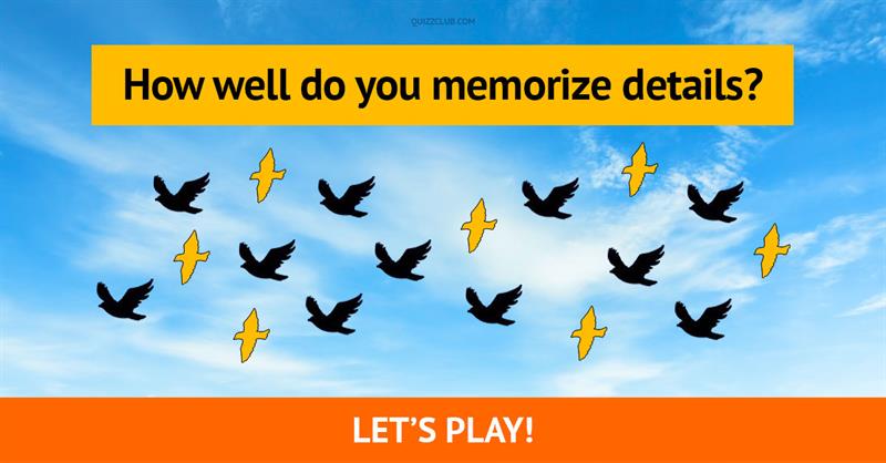 memory Quiz Test: We Can Guess Your Age By The Way You Memorize Details!