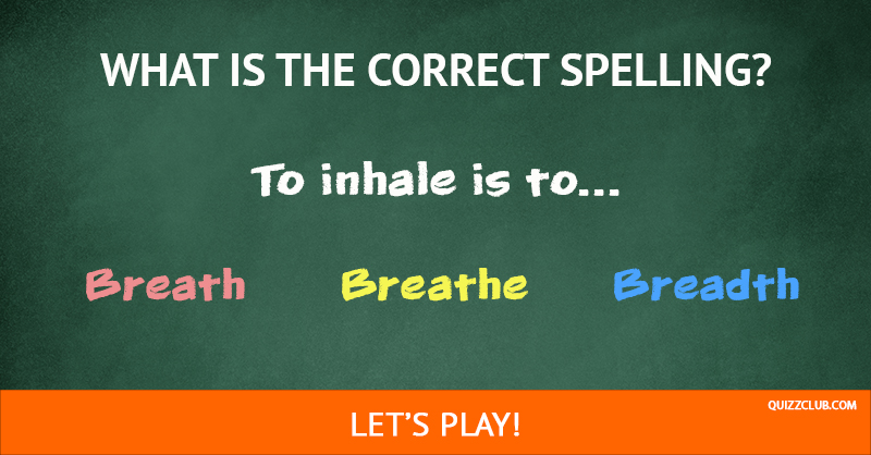 language Quiz Test: Only 3% Of American Adults Can Spell Better Than A 12 Year Old. Can You?