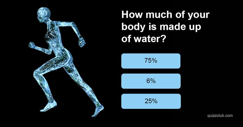 knowledge Quiz Test: Water Quiz!