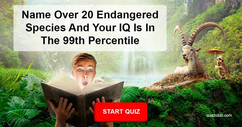 animals Quiz Test: Name Over 20 Endangered Species And Your IQ Is In The 99th Percentile