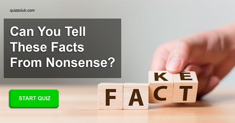 funny Quiz Test: Only 1/500 Adults Can Tell These Facts From Nonsense - Can You?