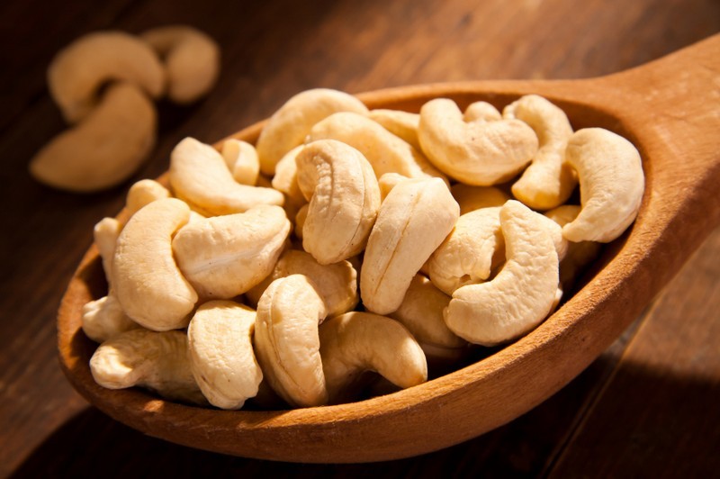 Nature Trivia Question: Are cashews poisonous before being processed?
