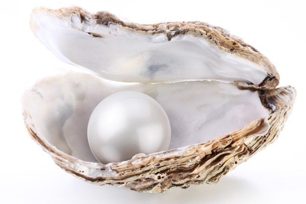 Natur Wissensfrage: Stimmt es, dass Austern ihr Geschlecht ändern können?