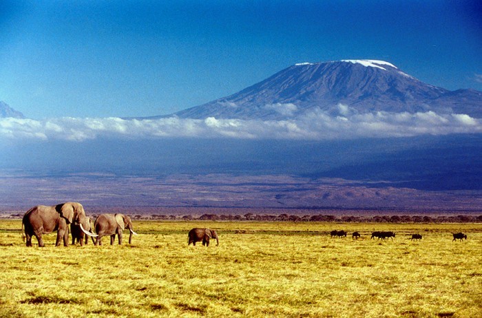 地理 小問題：非洲最高的山是哪座山？