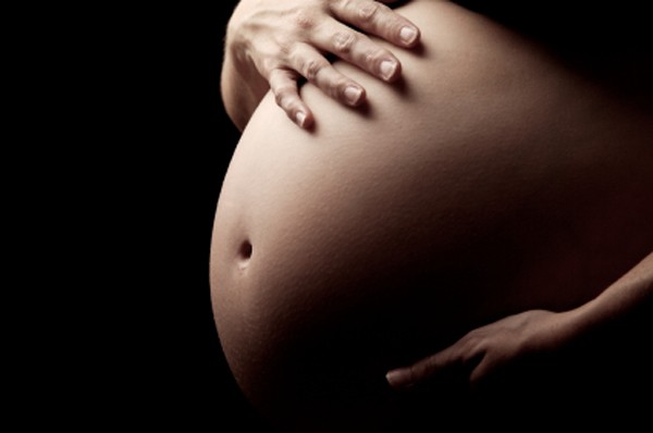 natura Pytanie-Ciekawostka: Samiec jakiej z tych istot może zajść w ciąży i urodzić młodych?