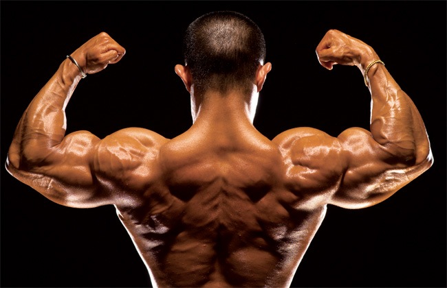 Science Trivia Question: How many muscles are in the human body?