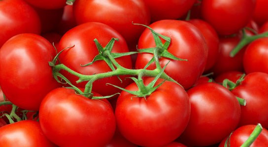 Nature Trivia Question: Tomato is botanically a vegetable.