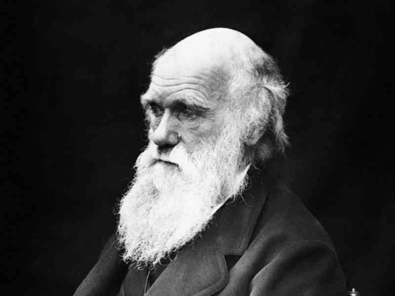 Society Trivia Question: Which achievement refers to Charles Darwin?