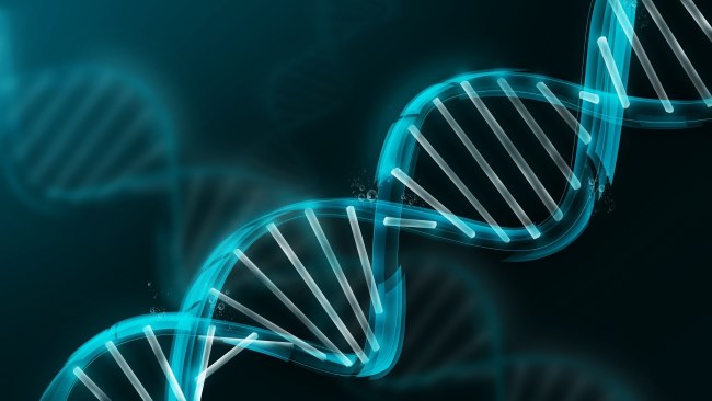 Science Trivia Question: Over 99% of our DNA sequence is the same as other humans