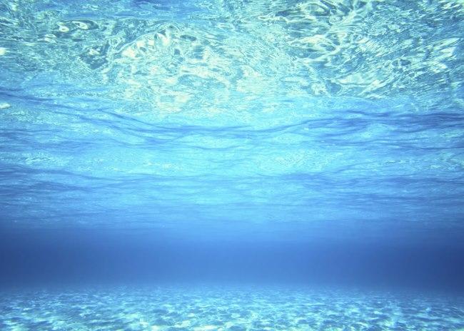 Geography Trivia Question: About 70% of the human body is made up of water and about 70% of Earth is covered in water