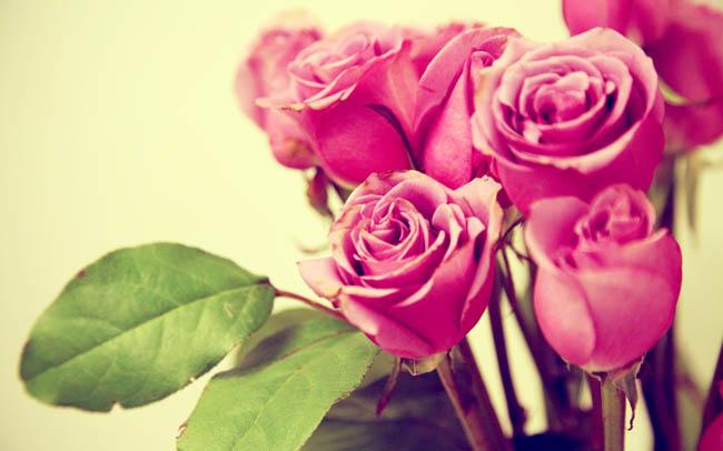 Культура Запитання-цікавинка: Куди ліричний герой одного з віршів А. С. Пушкіна приніс в дар 2 троянди?